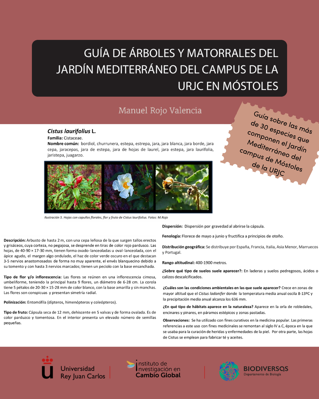 mediterranean garden fiche