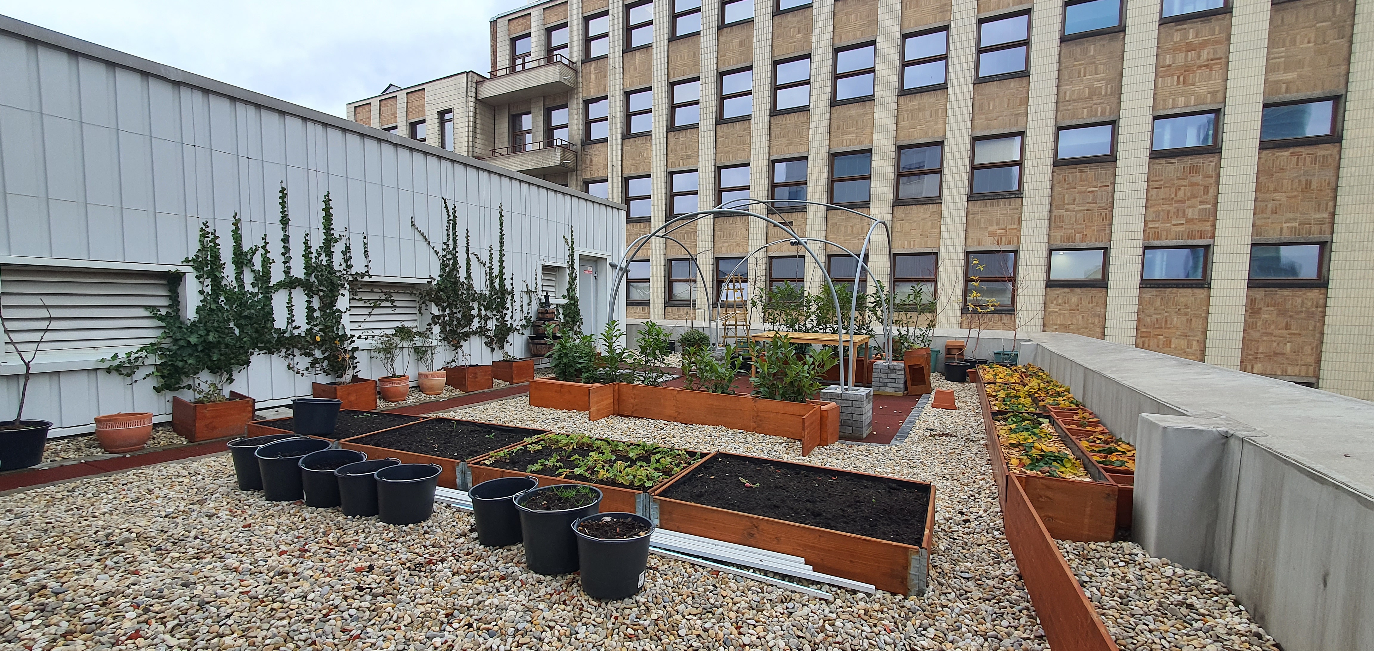 Library "Rooftop Garden" for Awareness Rising and Well-beeing