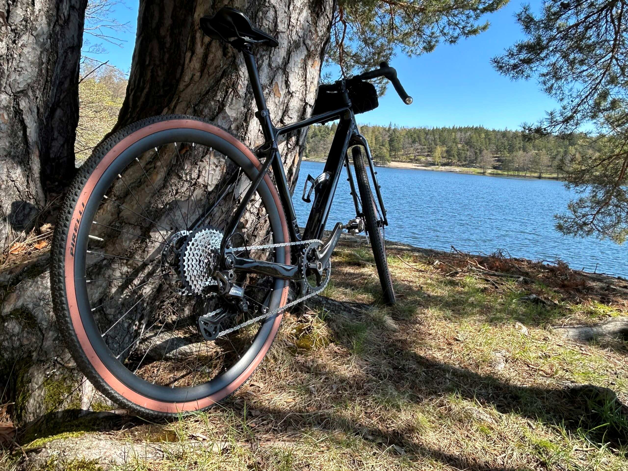 Rental bikes for employees