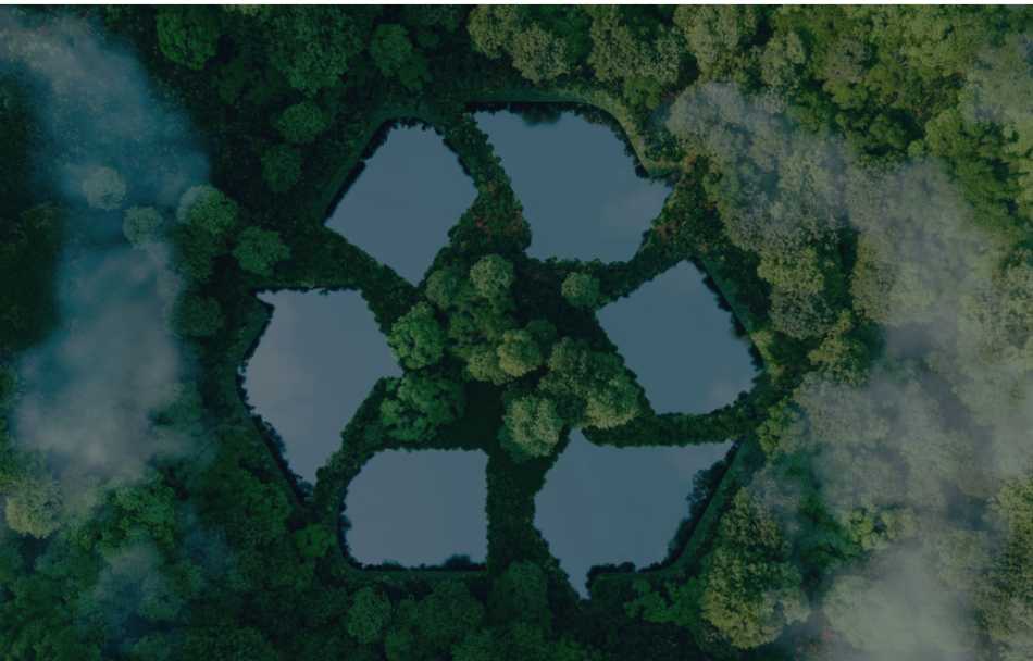 Responsible Purchasing