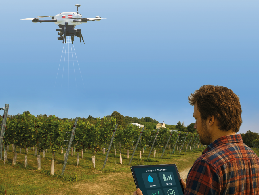 Landscape adaptation: Smart Vineyards