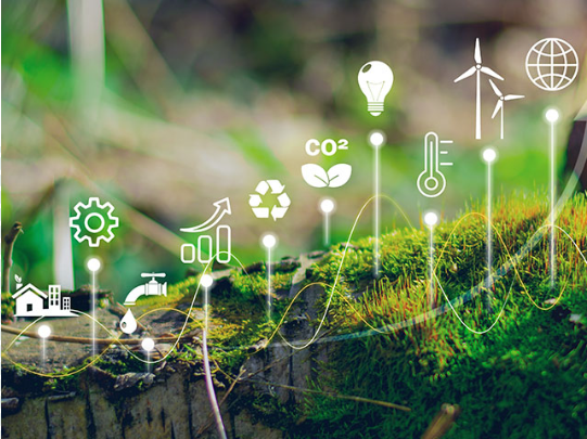 BUT Sustainability Strategy