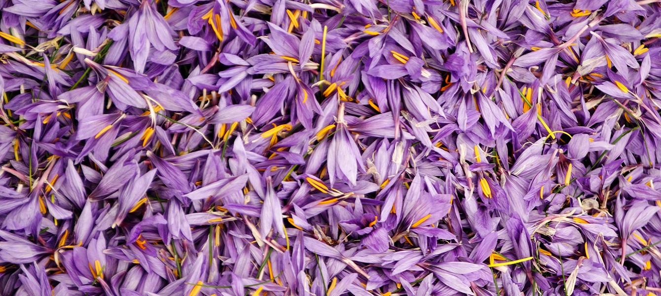 Climate and Territory