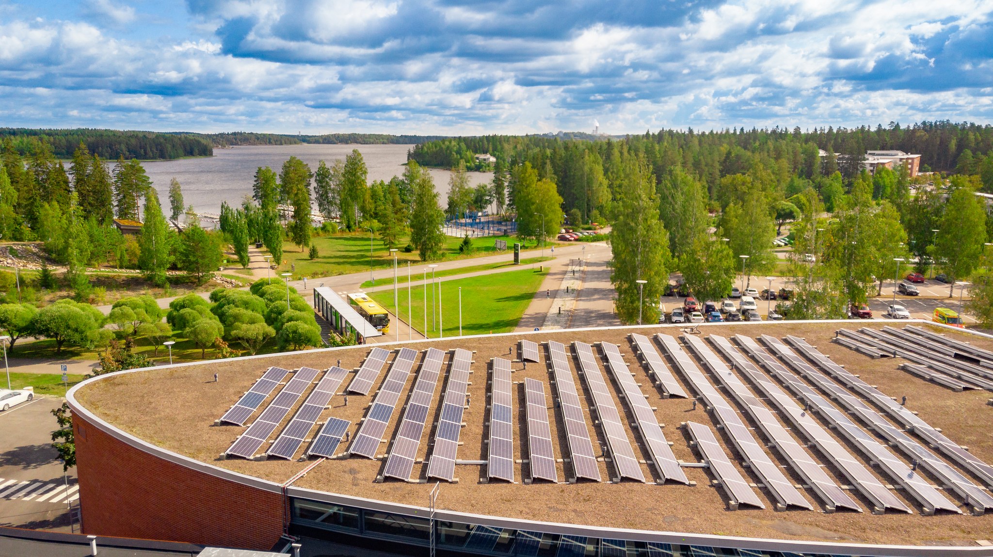 Carbon neutral electricity